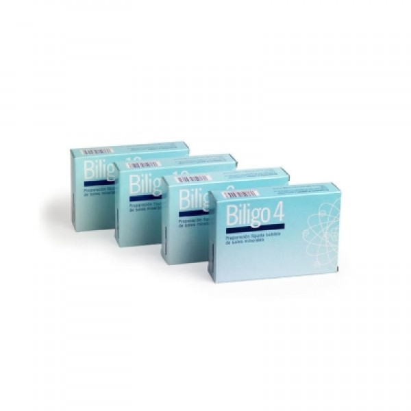 Biligo-4